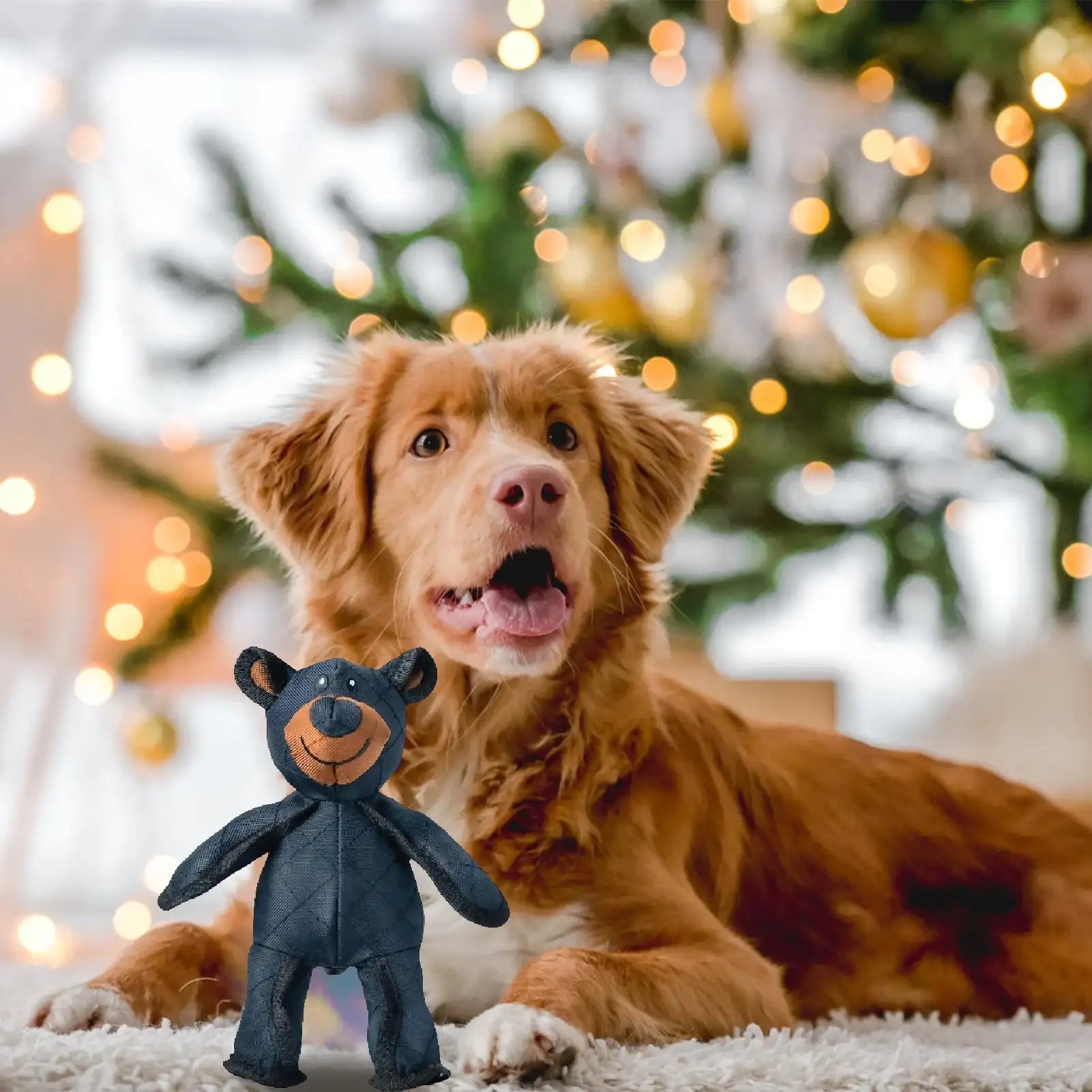 Dog Teething & Training Mighty Bear Toy – Durable Heavy-Duty Chew Toy