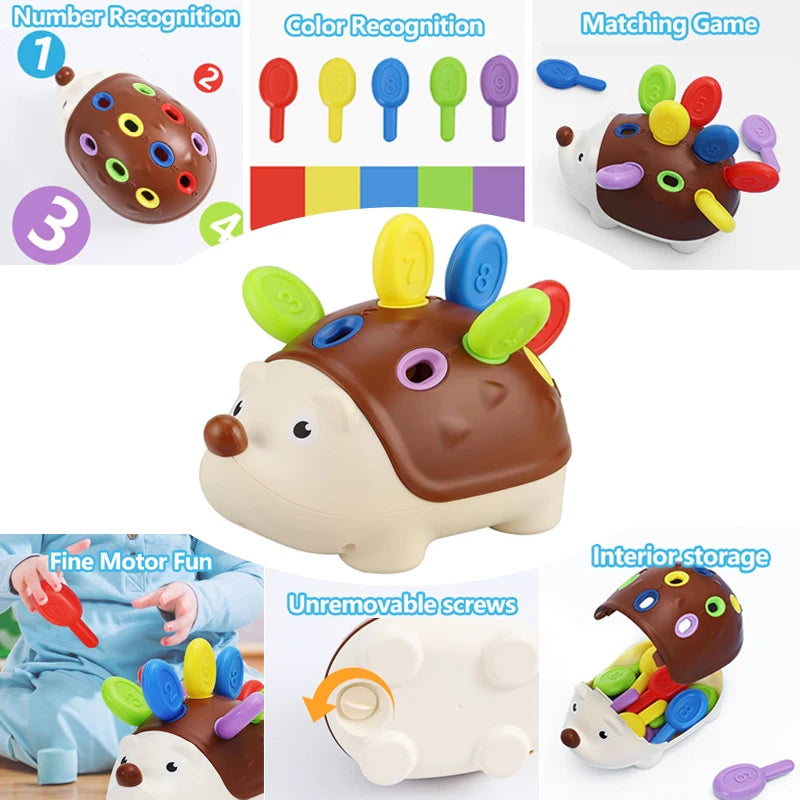 Hedgehog Montessori Educational Toy – Fine Motor Skills, Counting & Color Learning Game for Toddlers - Moss Roze