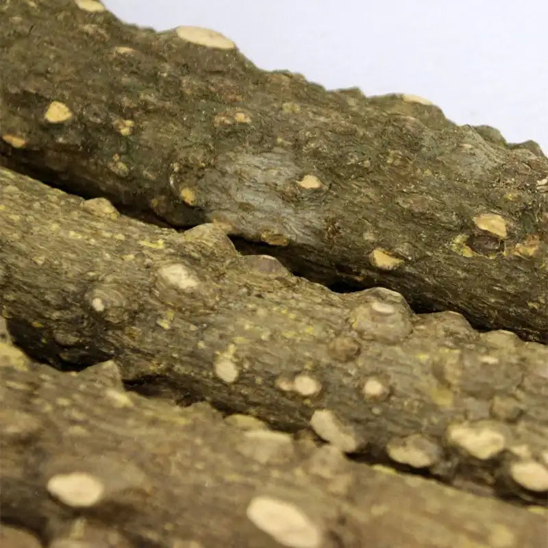 Wooden Climbing Ladder Toy – 4/6 Step Interactive Bird & Hamster Cage Accessory with Grinding Stick