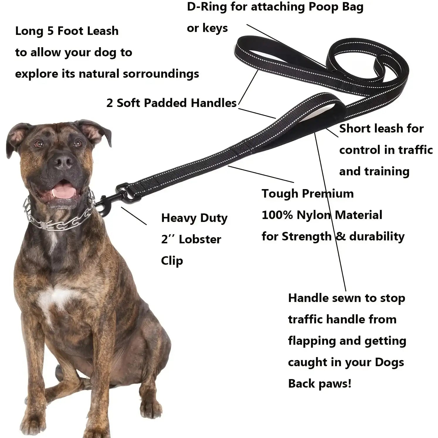 All Season Heavy Duty Dual Handle Dog Leash – Outdoor Travel Training Lead for Greater Control and Safety
