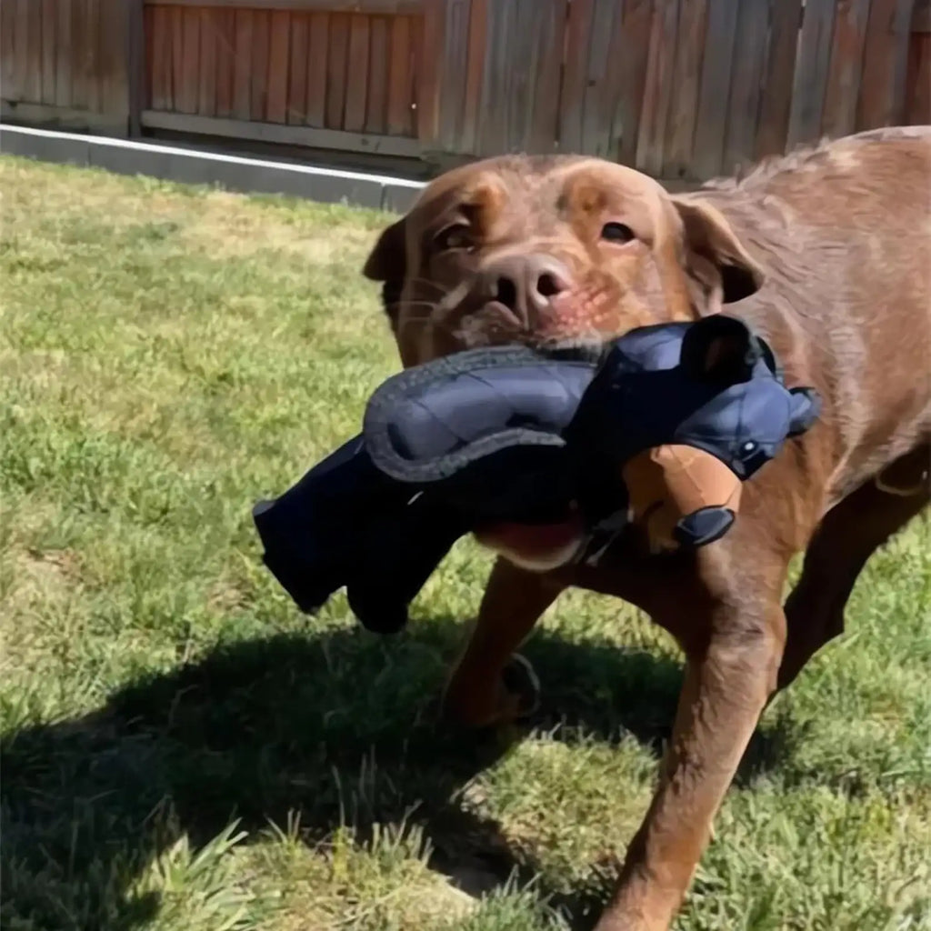 Dog Teething & Training Mighty Bear Toy – Durable Heavy-Duty Chew Toy