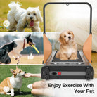 Foldable Dog Treadmill for Small & Medium Dogs – 2.5HP Pet Running Machine