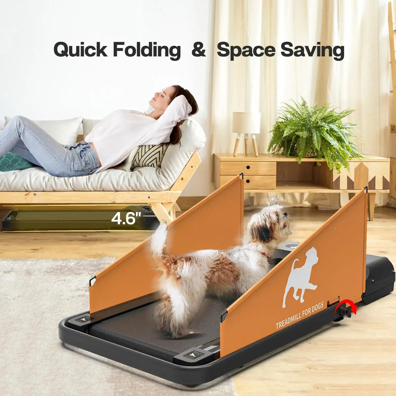 Foldable Dog Treadmill for Small & Medium Dogs – 2.5HP Pet Running Machine
